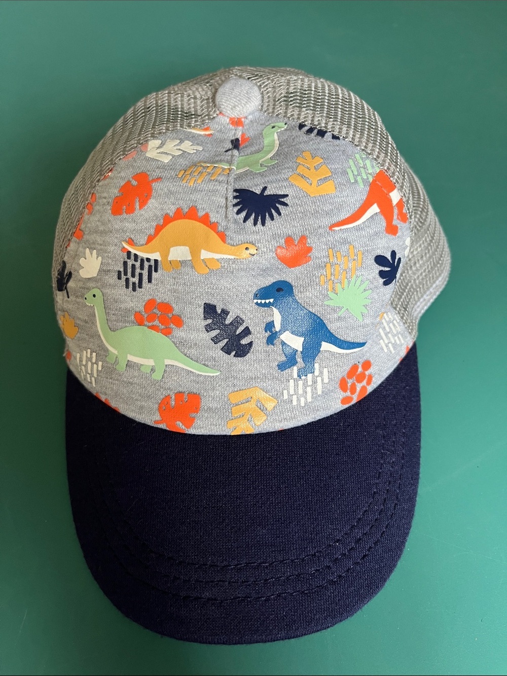 No Brand boy’s dinosaur ball cap.